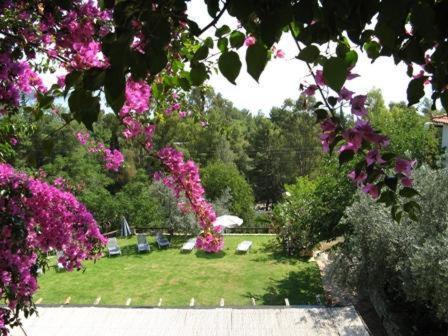 Hotel Heleni Apartments Epidaurus Exterior foto